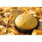 Polished Mini Steel Tongue Drums 6 Tongue Drum B Major Gold Mstd3G featuring natural patterning and unique variations - Luna Panther