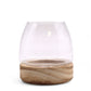 Mini Terrarium on Natural Tung Wood - Luna Panther