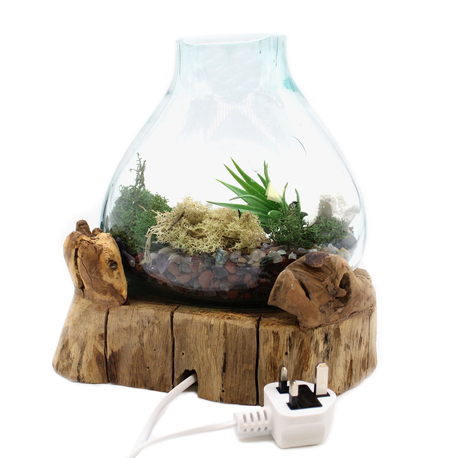 Molten Glass Large Fish Tank 3.7 litre (with light cavity) - 30cm - Luna Panther