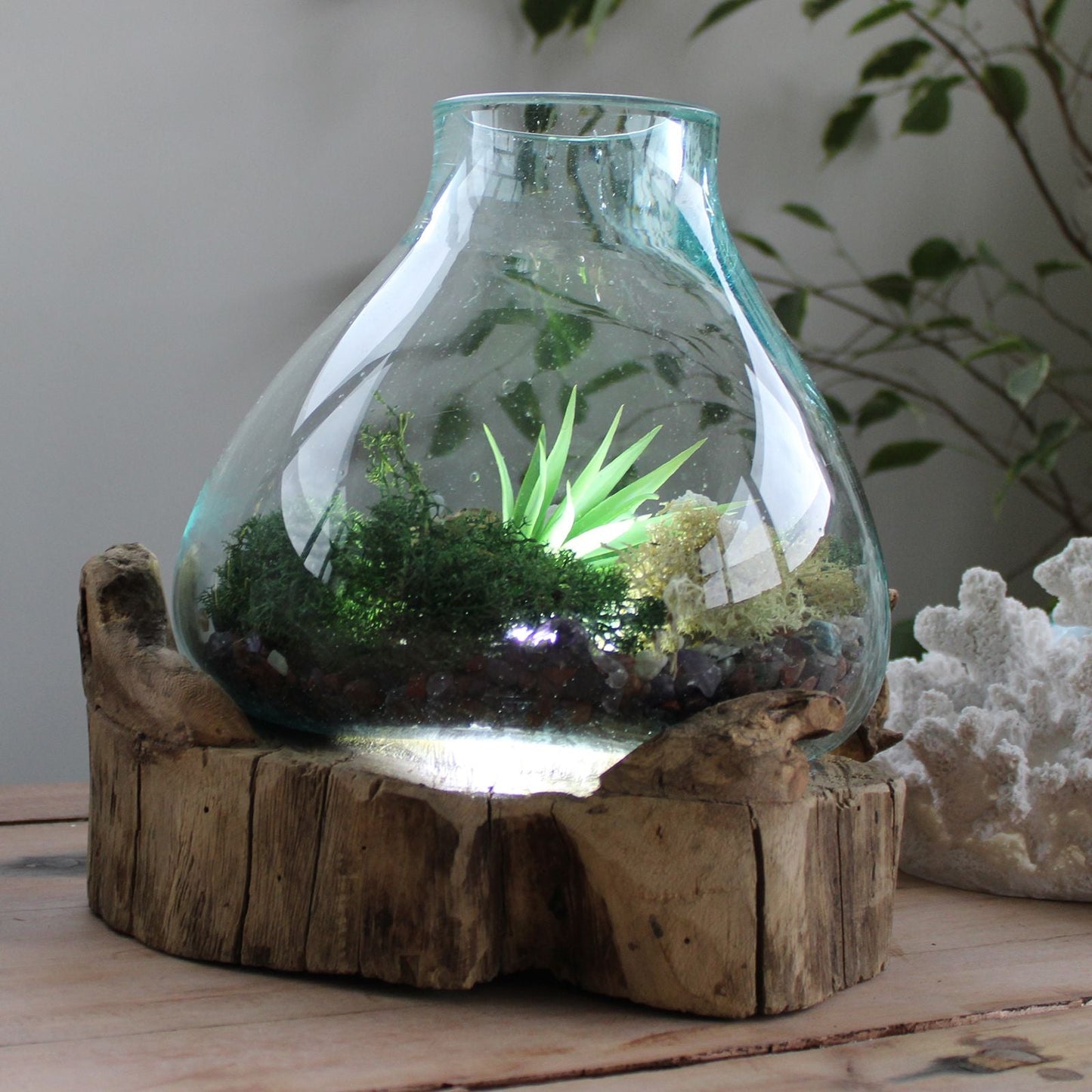 Molten Glass Large Fish Tank 3.7 litre (with light cavity) - 30cm - Luna Panther