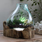 Molten Glass Large Fish Tank 3.7 litre (with light cavity) - 30cm - Luna Panther