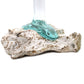 Molten Glass on Whitewash Wood - Vase - Medium - Luna Panther