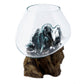 Molten Glass on Wood - Large Bowl - Luna Panther
