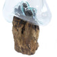 Molten Glass on Wood - Large Bowl - Luna Panther