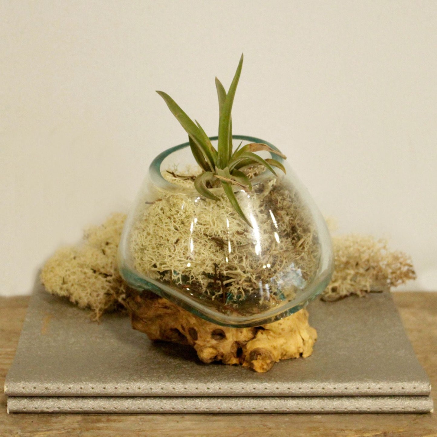 Molten Glass on Wood - Small Bowl - Luna Panther