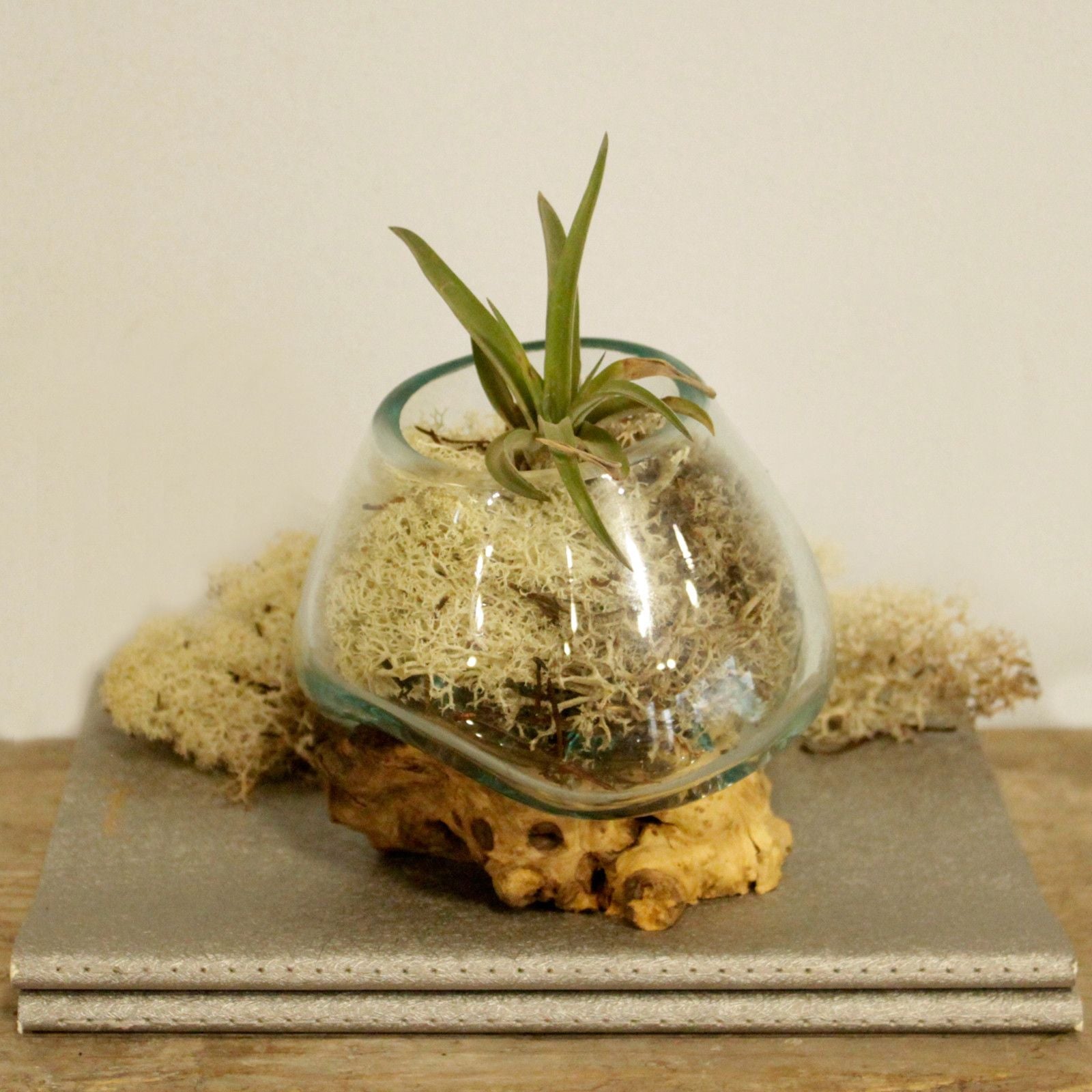 Molten Glass on Wood - Small Bowl - Luna Panther