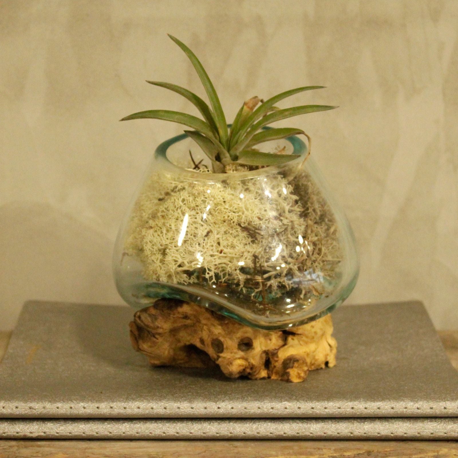 Molten Glass on Wood - Small Bowl - Luna Panther