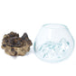 Molten Glass on Wood - Small Bowl - Luna Panther
