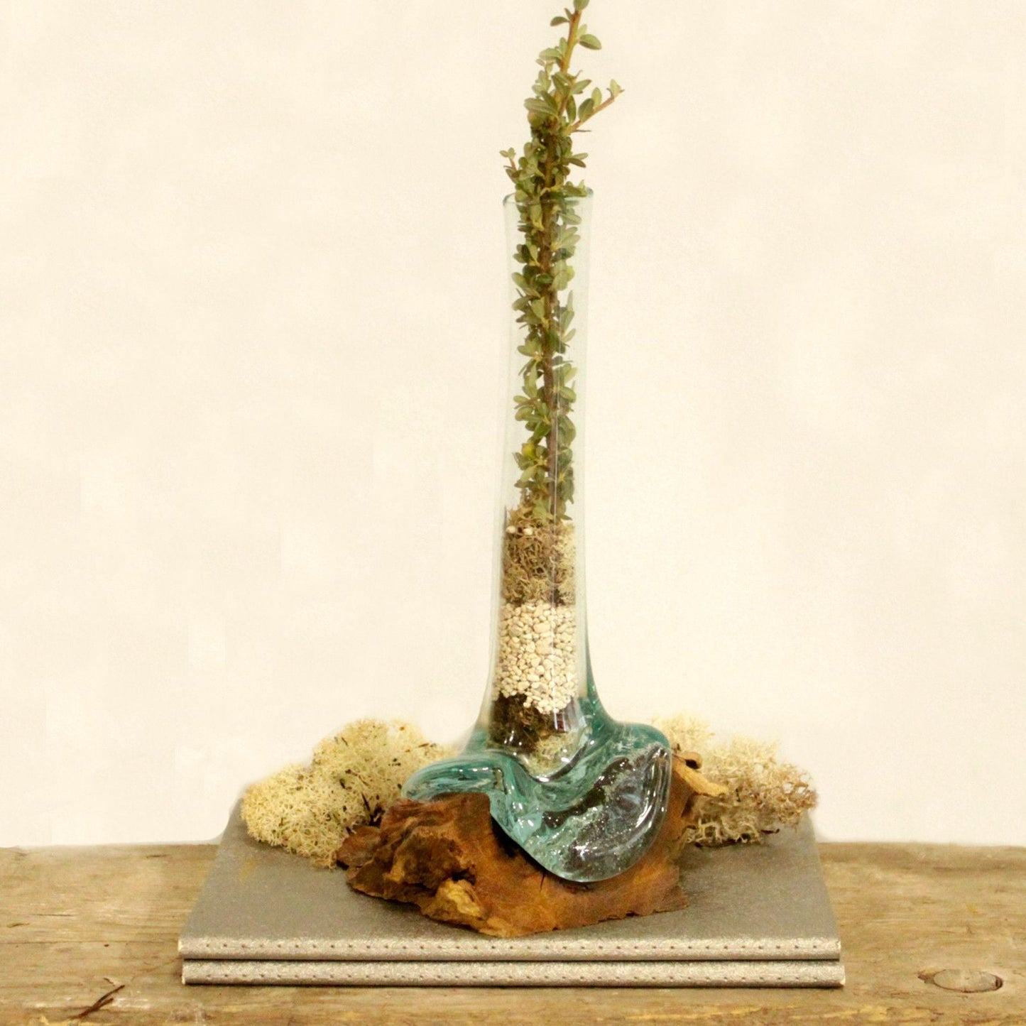 Molten Glass on Wood - Vase - Luna Panther