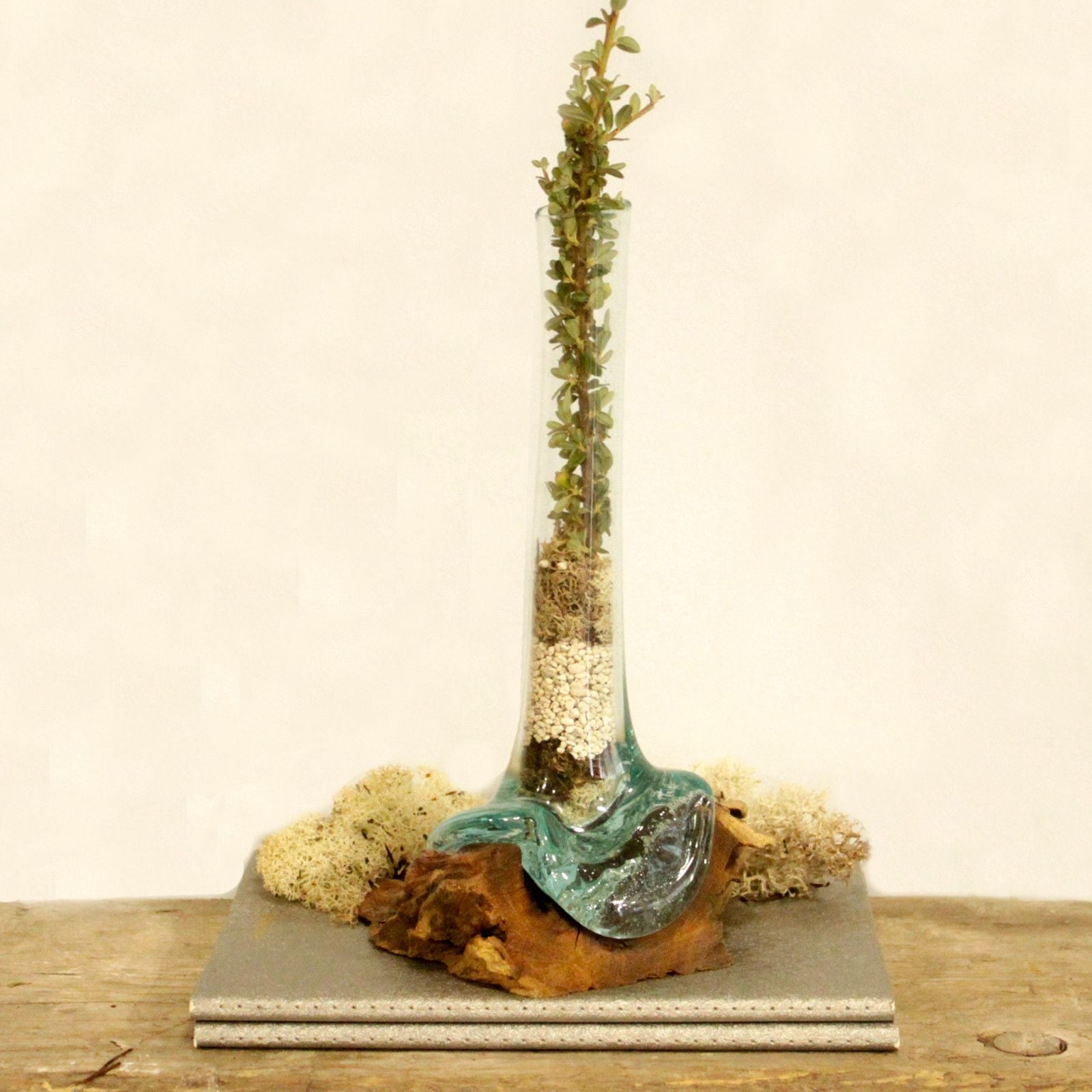 Molten Glass on Wood - Vase - Luna Panther