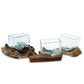 Molten Glass Tank on Wood with Stand - Small Bowl - Luna Panther