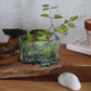 Molten Glass Tank on Wood with Stand - Small Bowl - Luna Panther