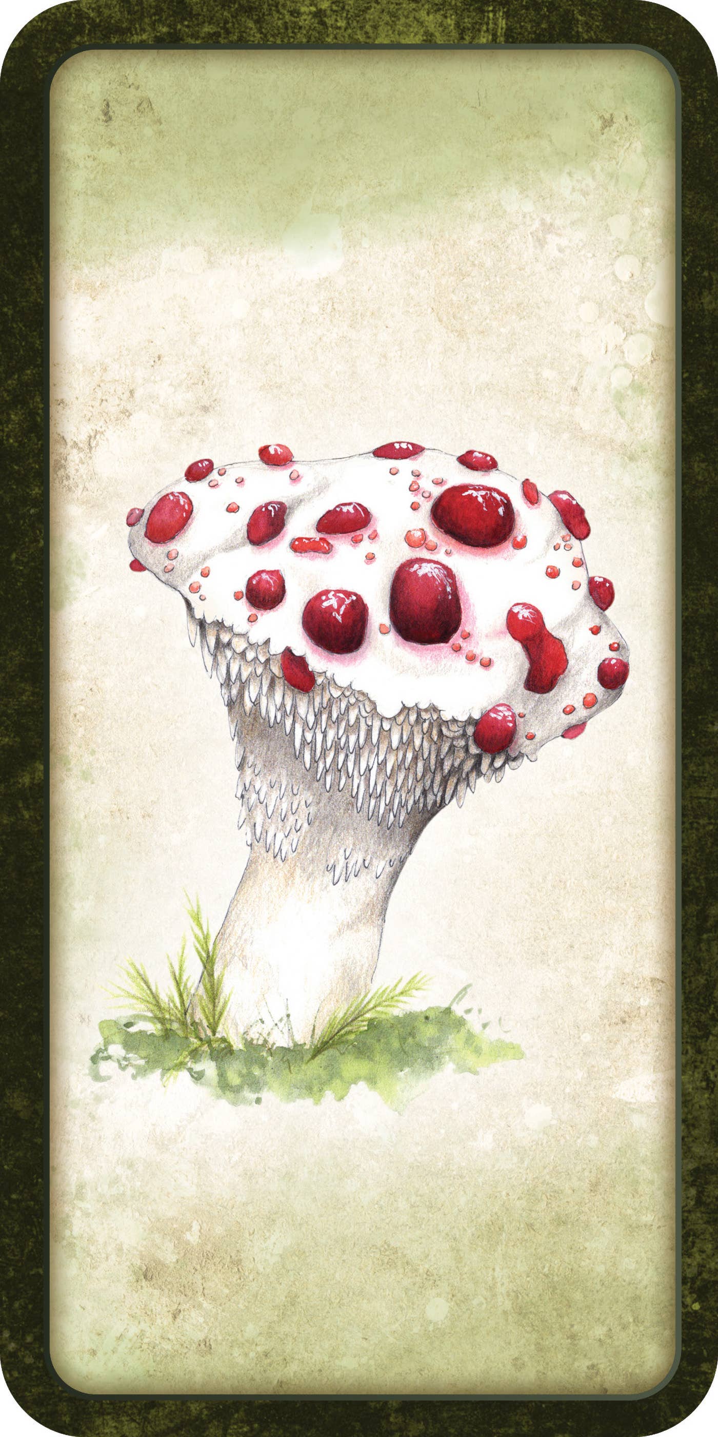 Mushroom Affirmations - Luna Panther