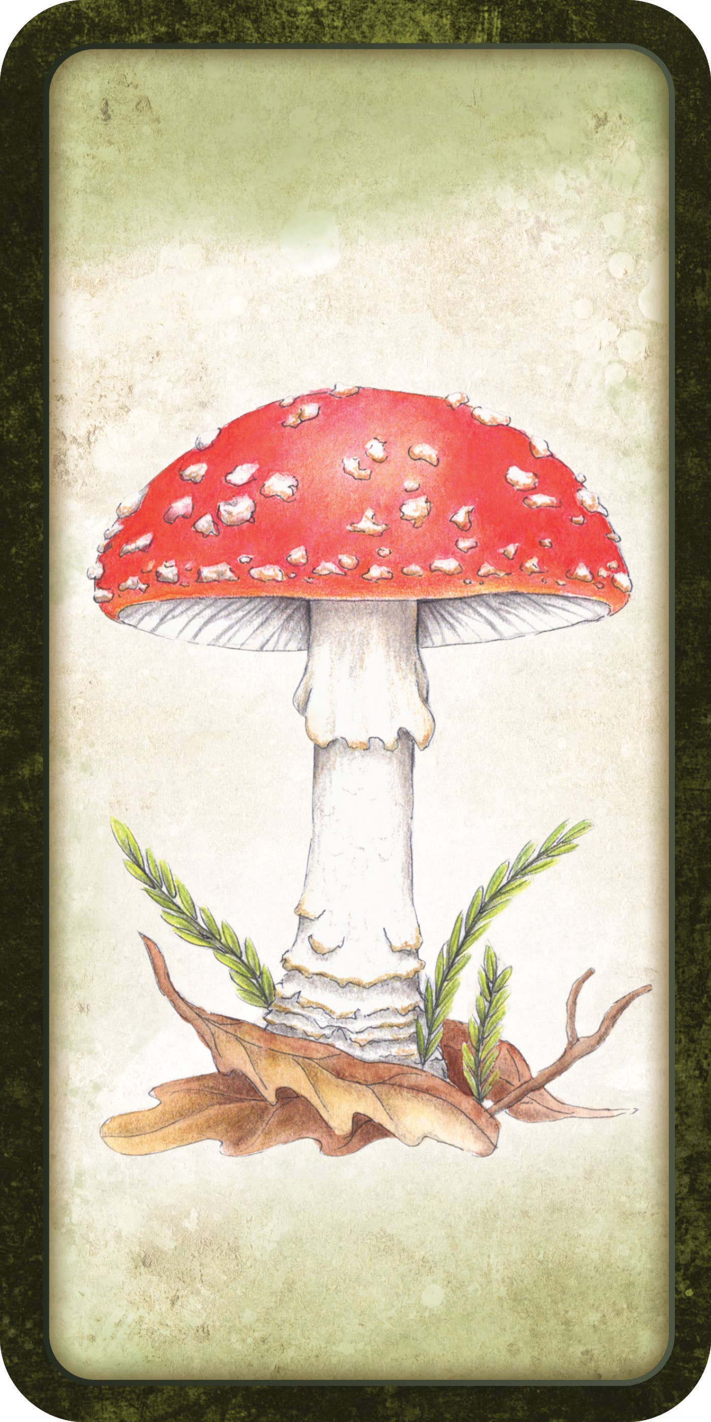 Mushroom Affirmations - Luna Panther