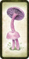 Mushroom Affirmations - Luna Panther