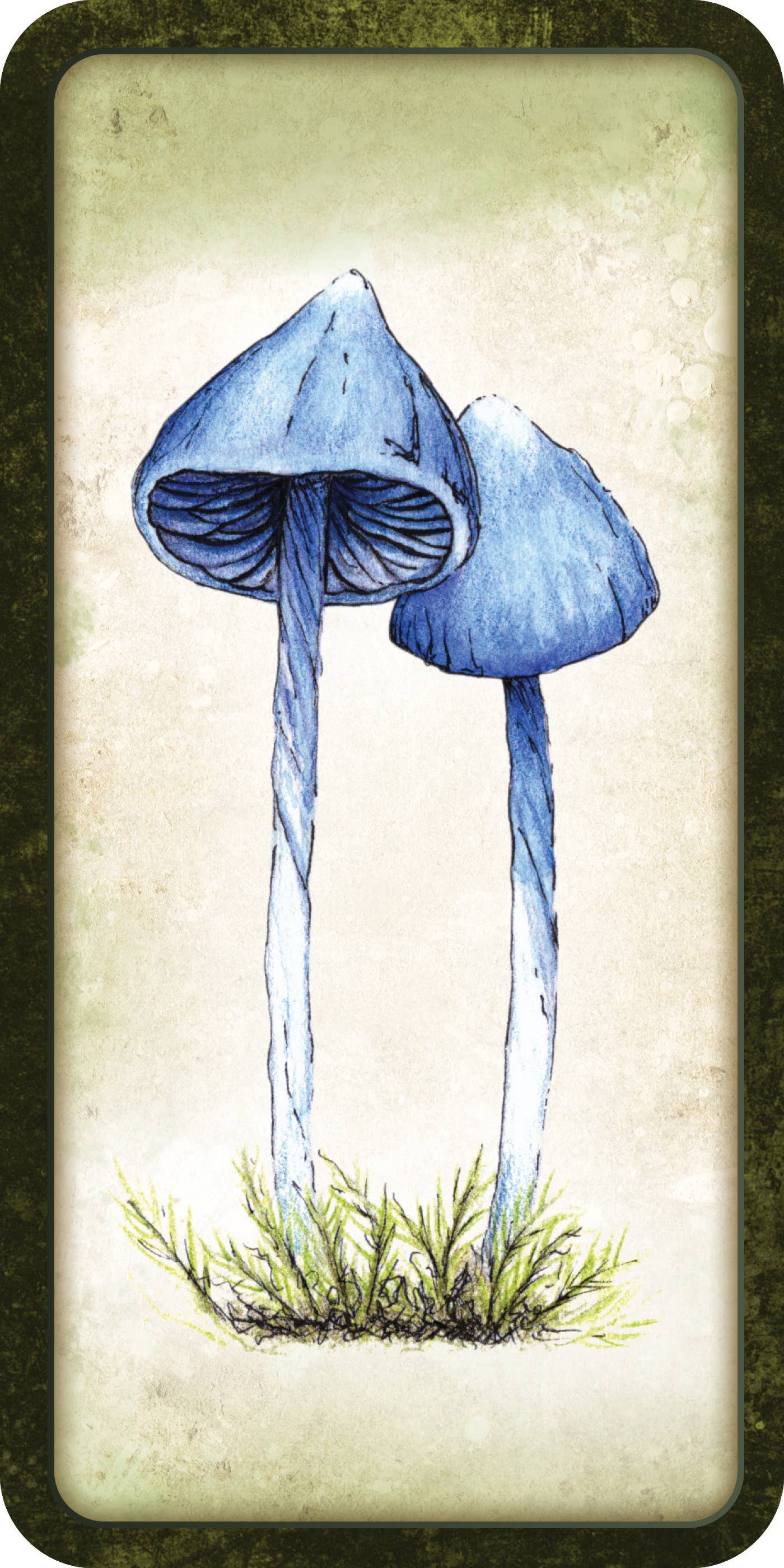 Mushroom Affirmations - Luna Panther