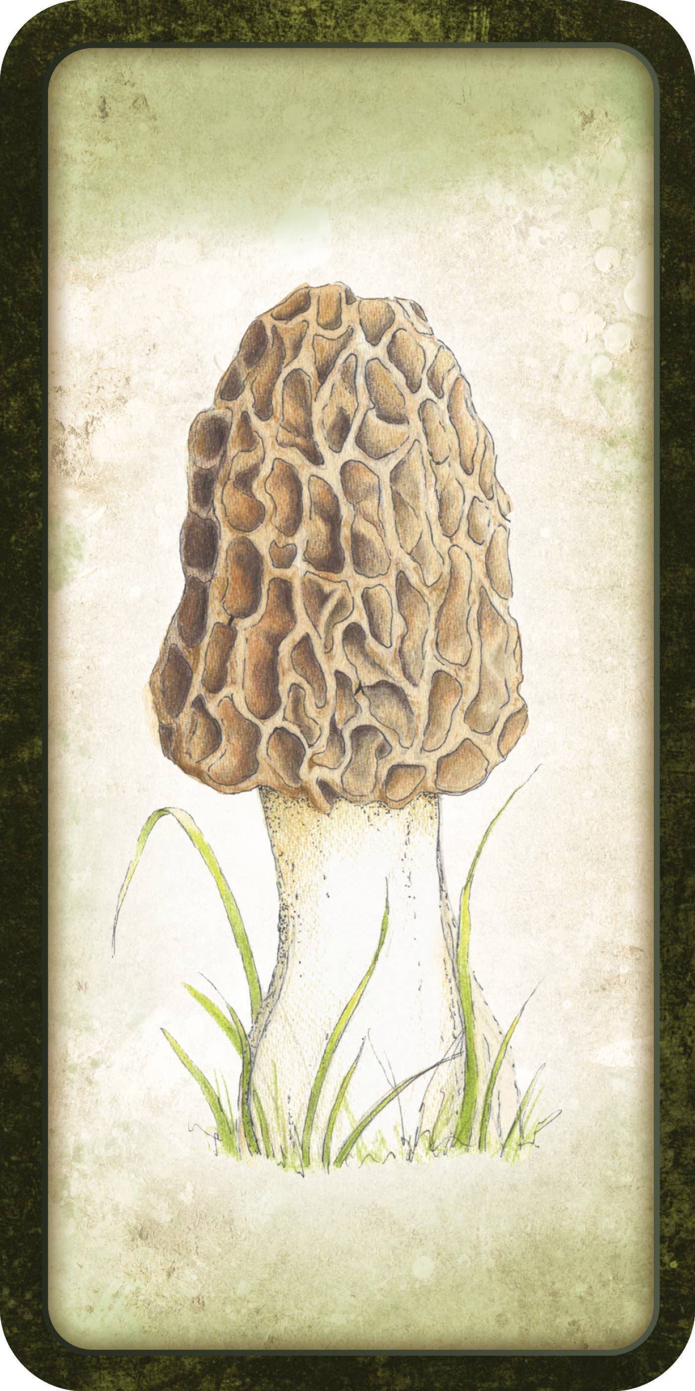 Mushroom Affirmations - Luna Panther
