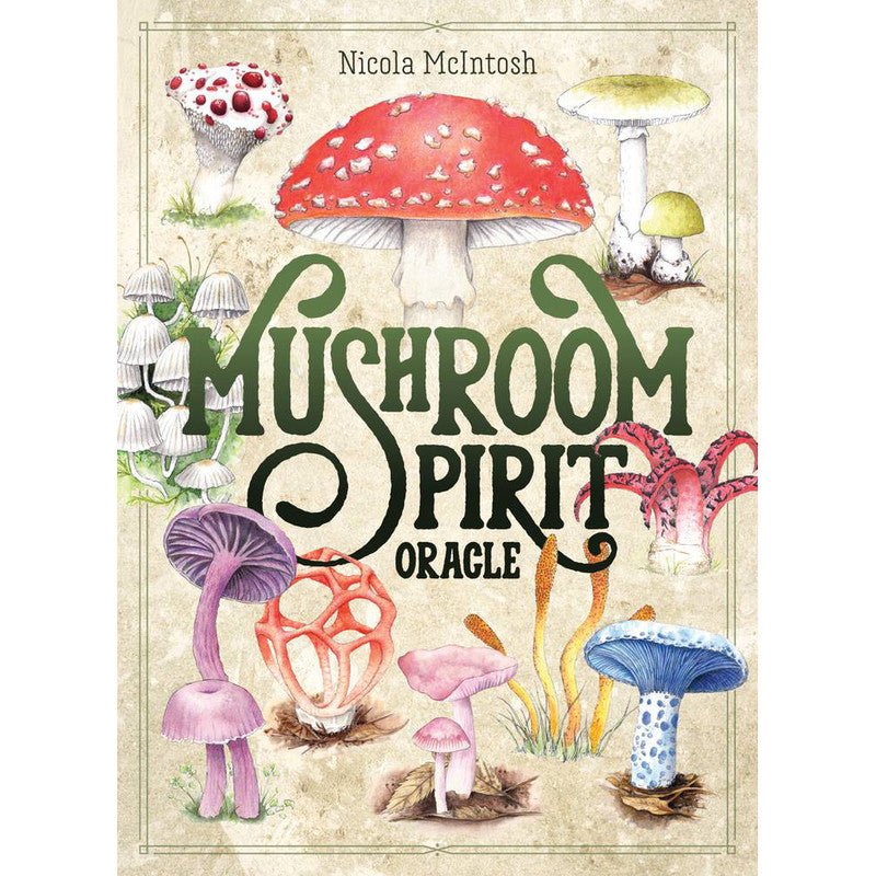 Polished Mushroom Spirit Oracle featuring natural patterning and unique variations - Luna Panther