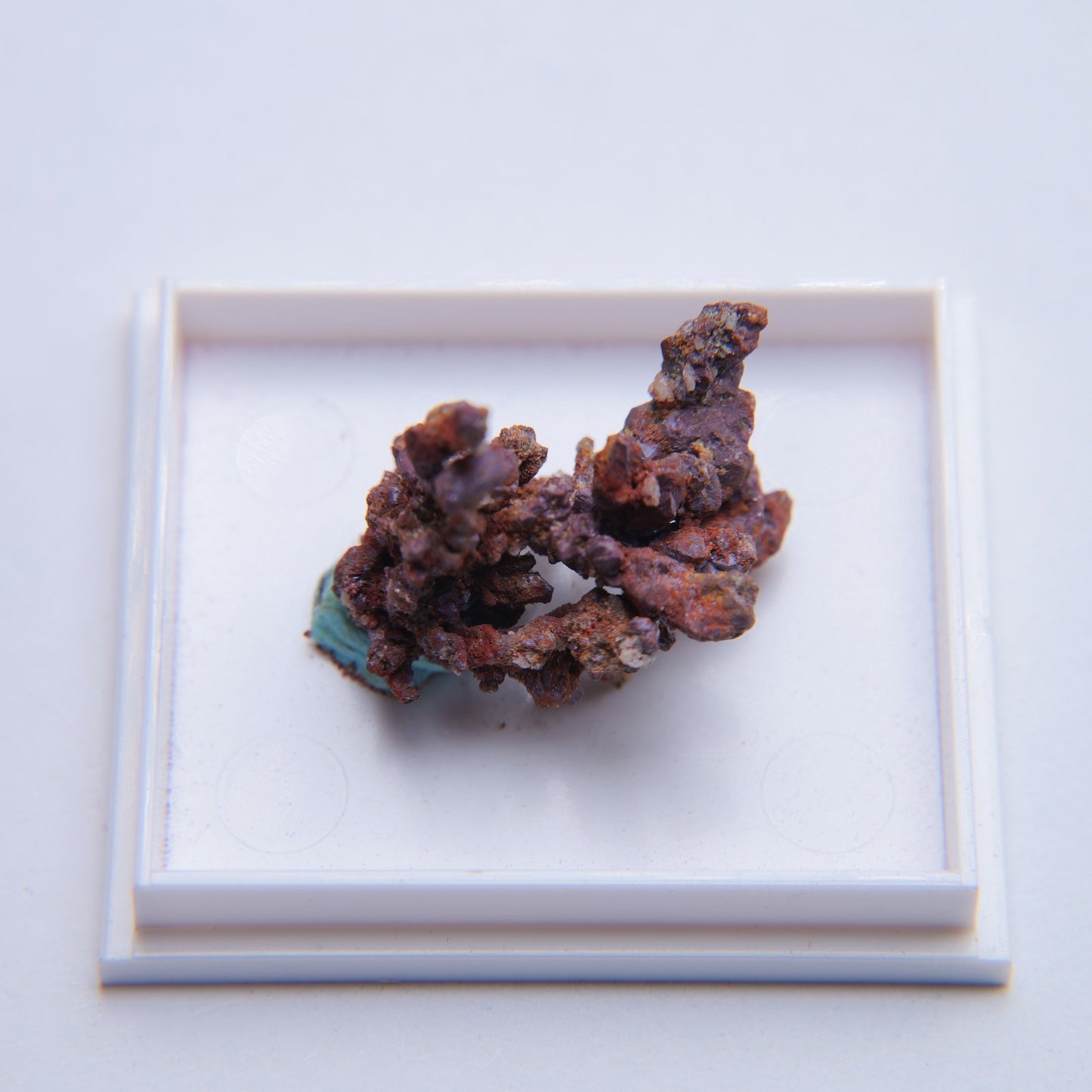 Native Copper from Girilambone Copper Mine, Girilambone, Australia - 3.62g — minerals, image 3 of 5.