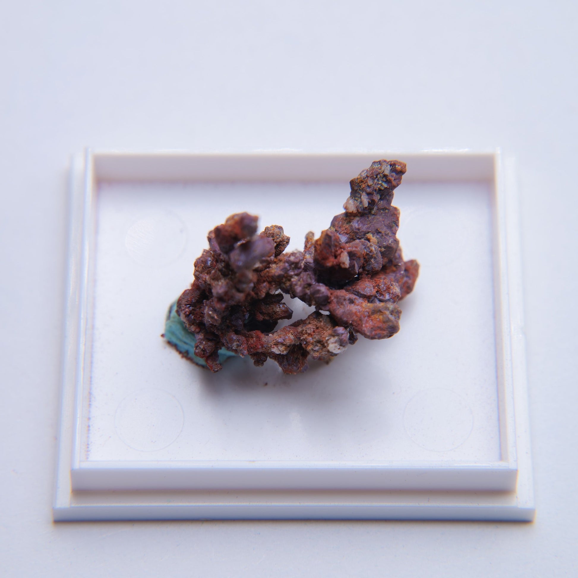 Native Copper from Girilambone Copper Mine, Girilambone, Australia - 3.62g — minerals, image 3 of 5.