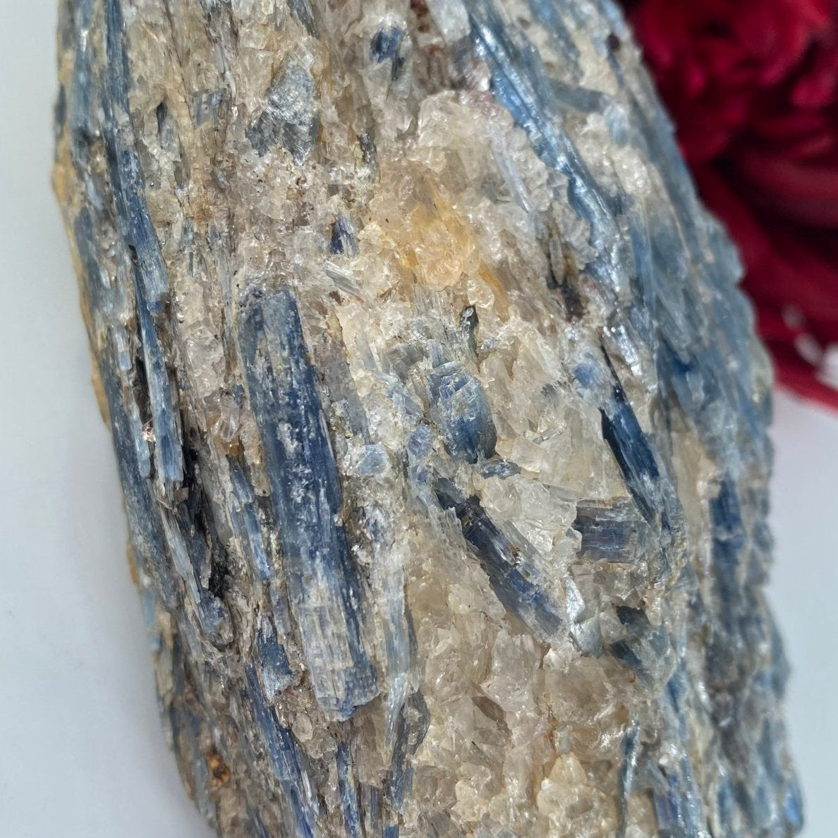 Natural Natural Blue Kyanite In Schist Specimen 1184G featuring blade-like texture and blue sheen - Luna Panther