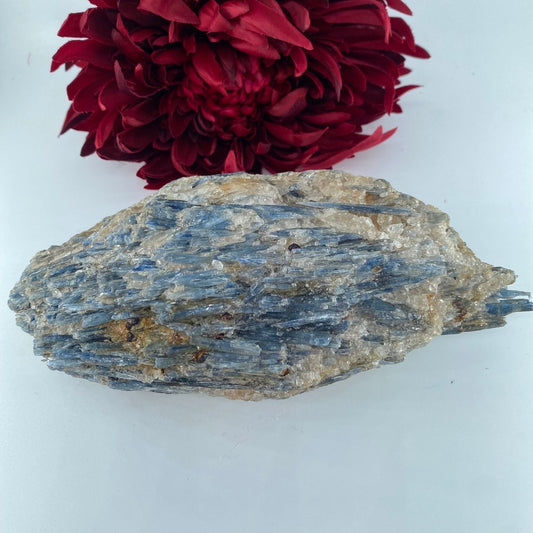 Natural Natural Blue Kyanite in Schist Specimen 1184g featuring blade-like texture and blue sheen - Luna Panther