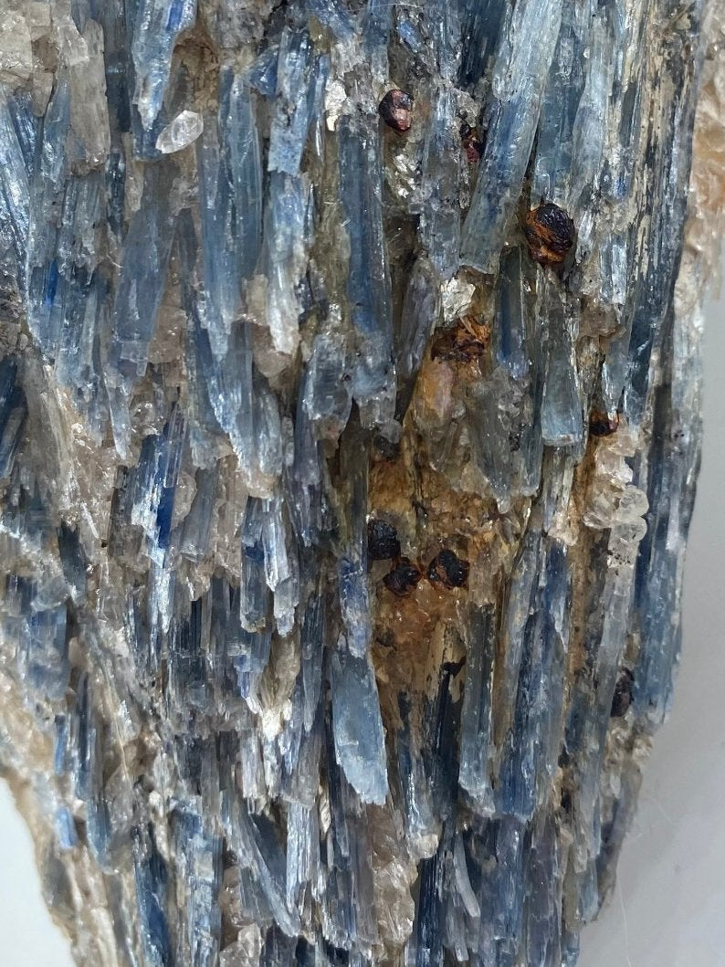 Natural Natural Blue Kyanite In Schist Specimen 1184G featuring blade-like texture and blue sheen - Luna Panther