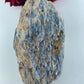 Natural Natural Blue Kyanite In Schist Specimen 1184G featuring blade-like texture and blue sheen - Luna Panther