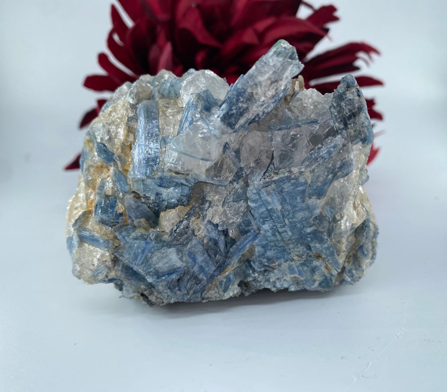 Natural Natural Blue Kyanite In Schist Specimen 775G featuring blade-like texture and blue sheen - Luna Panther