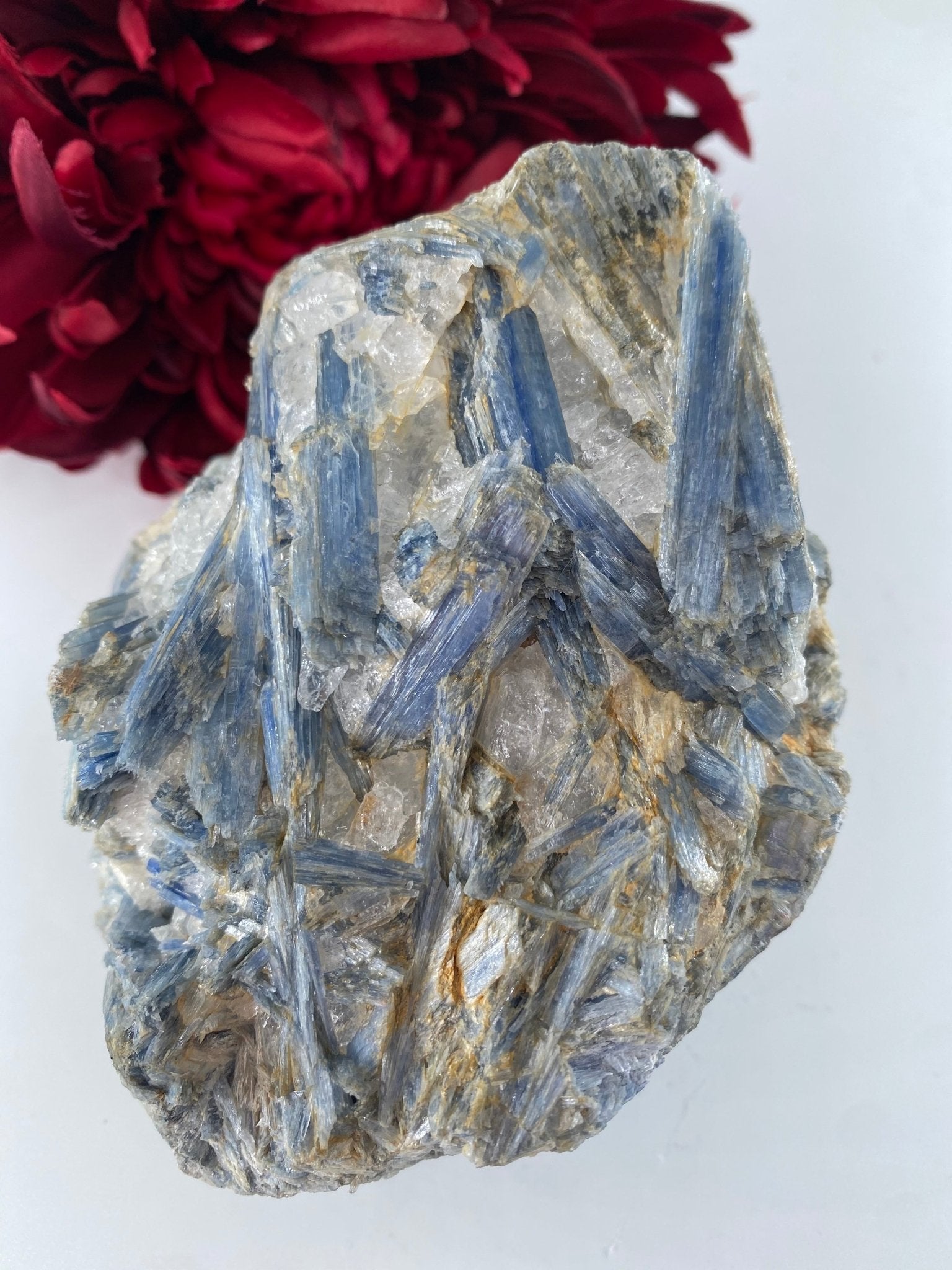 Natural Natural Blue Kyanite in Schist Specimen 992g featuring blade-like texture and blue sheen - Luna Panther