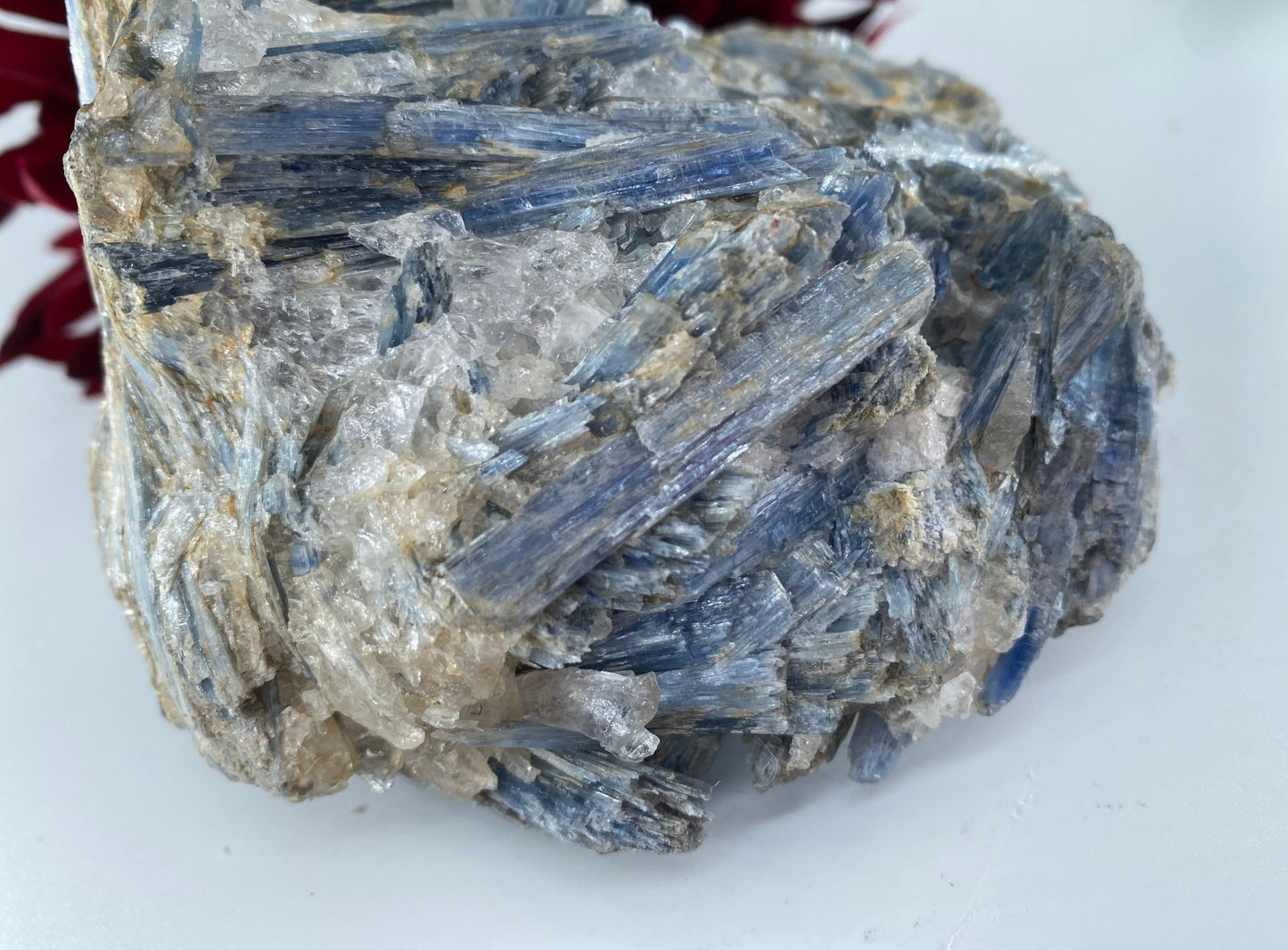 Natural Natural Blue Kyanite In Schist Specimen 992G featuring blade-like texture and blue sheen - Luna Panther
