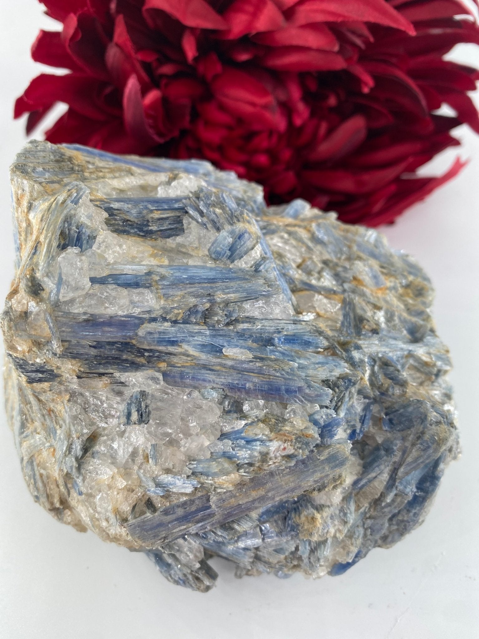 Natural Natural Blue Kyanite In Schist Specimen 992G featuring blade-like texture and blue sheen - Luna Panther