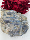 Natural Natural Blue Kyanite In Schist Specimen 992G featuring blade-like texture and blue sheen - Luna Panther