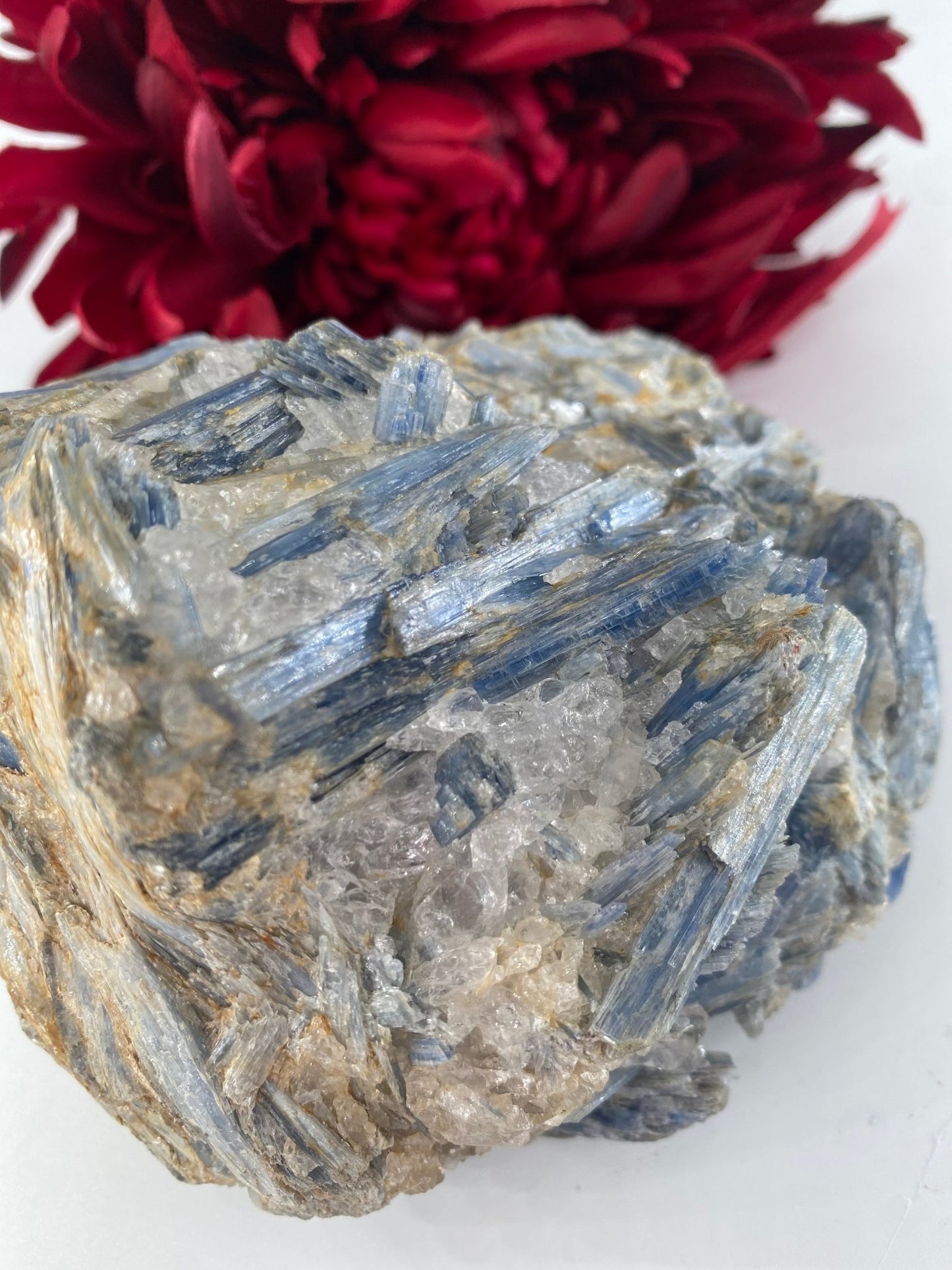 Natural Natural Blue Kyanite In Schist Specimen 992G featuring blade-like texture and blue sheen - Luna Panther