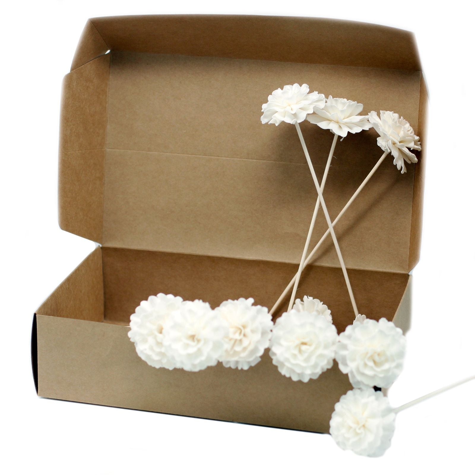 Natural Diffuser Flowers - Carnation on Reed - Luna Panther