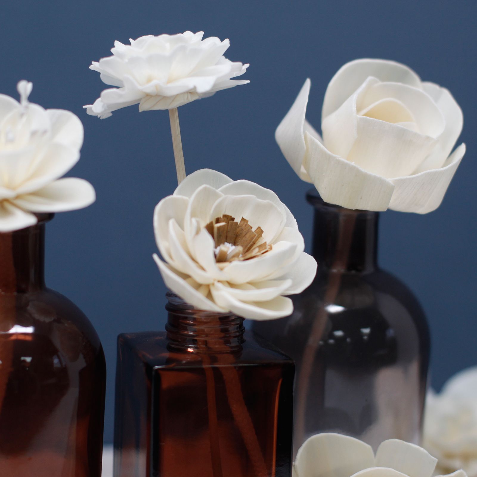 Natural Diffuser Flowers - Large Carnation on String - Luna Panther