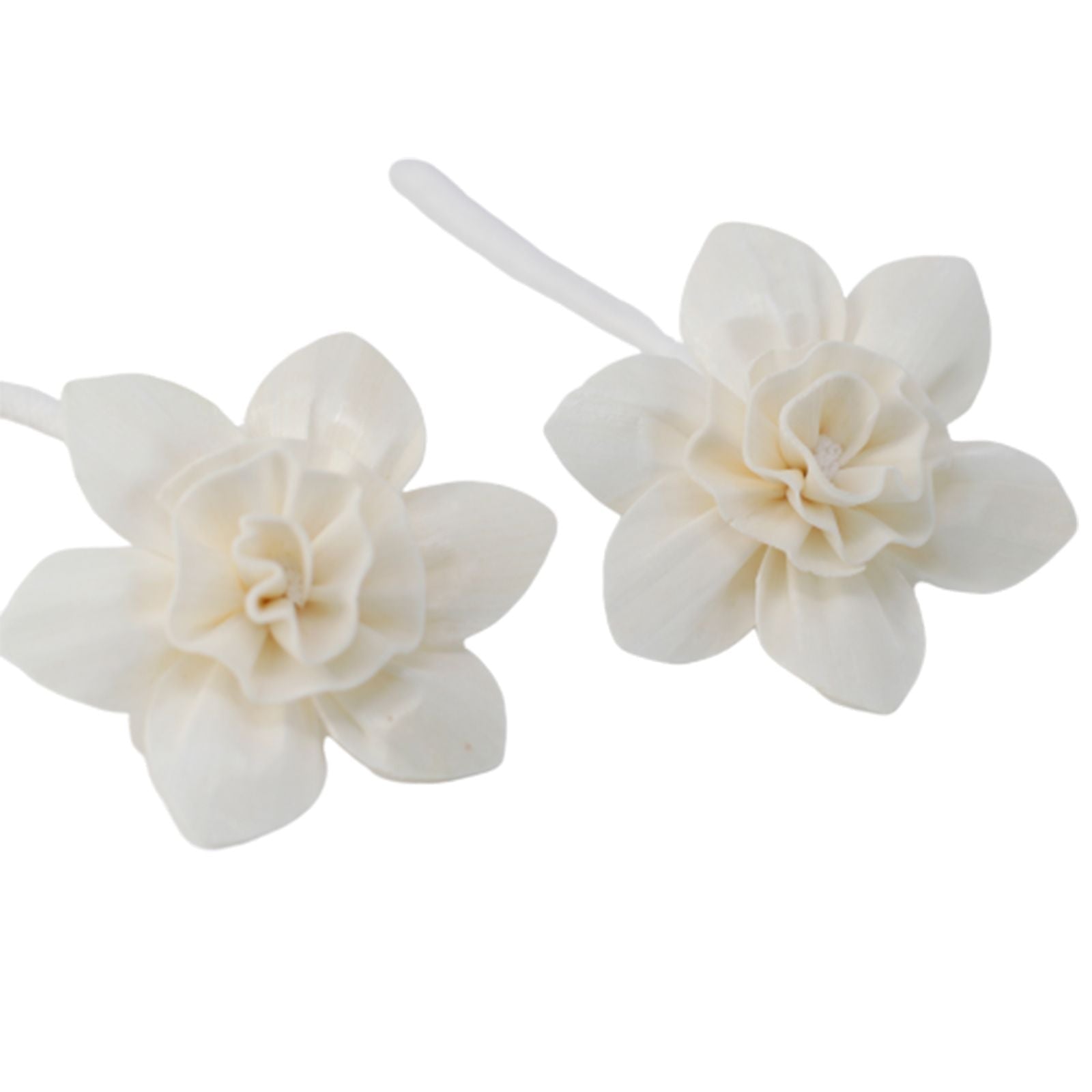 Natural Diffuser Flowers - Large Lily on String - Luna Panther