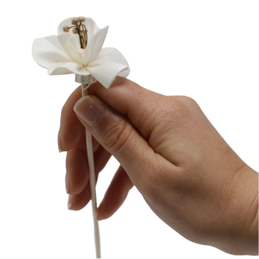 Natural Diffuser Flowers - Lily on Reed - Luna Panther