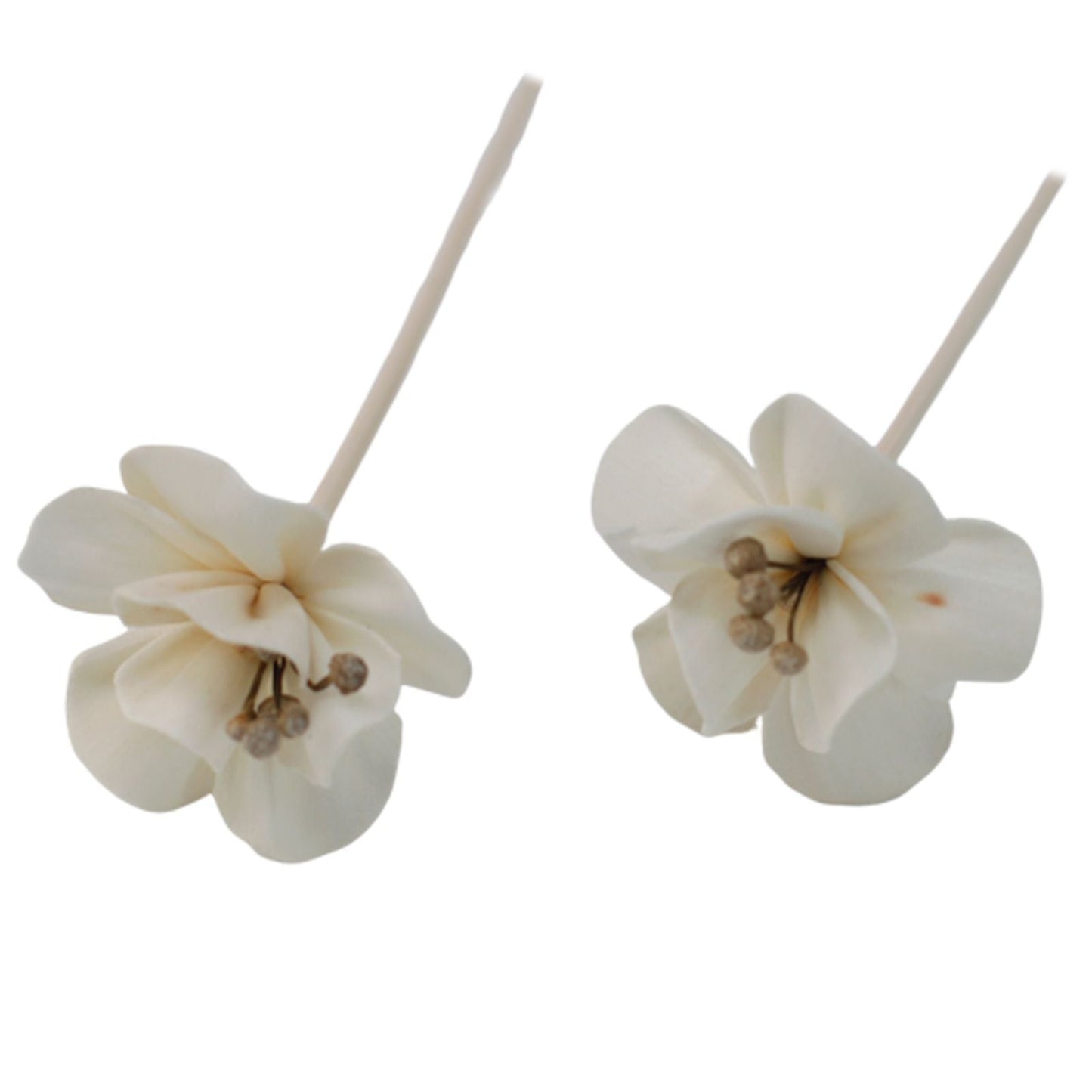 Natural Diffuser Flowers - Lily on Reed - Luna Panther