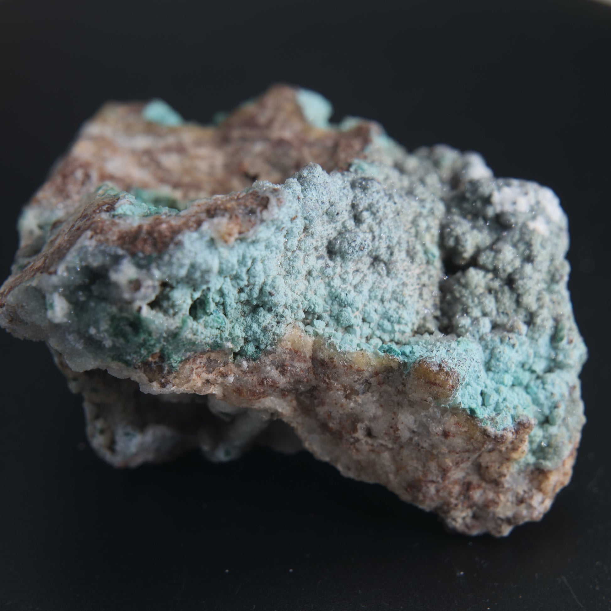 Natural Druzy Chrysocolla Dolomite with Malachite 172g - Luna Panther