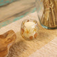 Natural Floral Glass - Straight Candle Holder - Rosa - (8x8cm) - Luna Panther