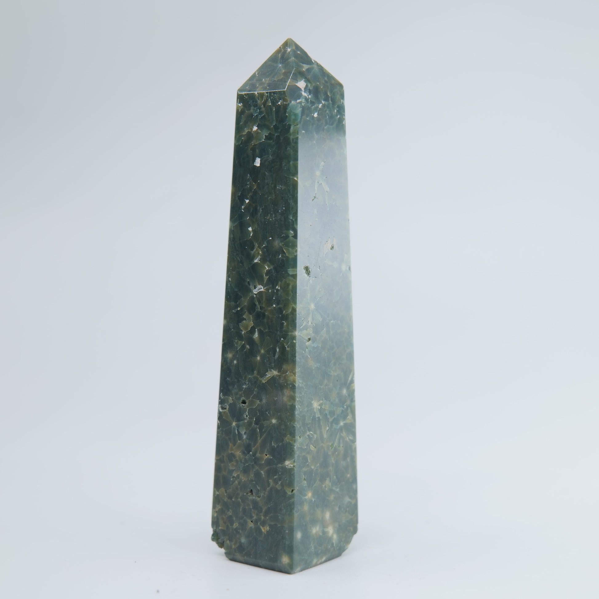 Ocean Jasper 91g - Luna Panther