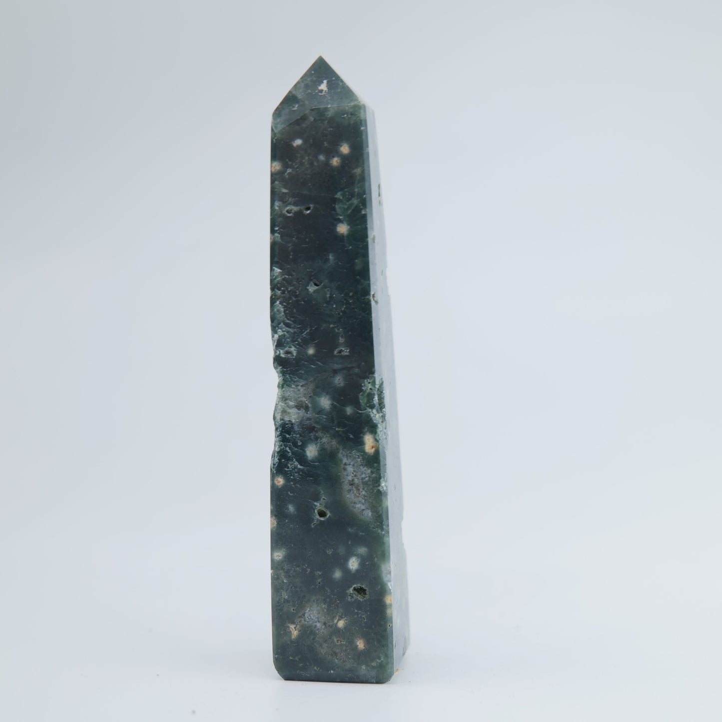 Ocean Jasper Tower 73g - Luna Panther
