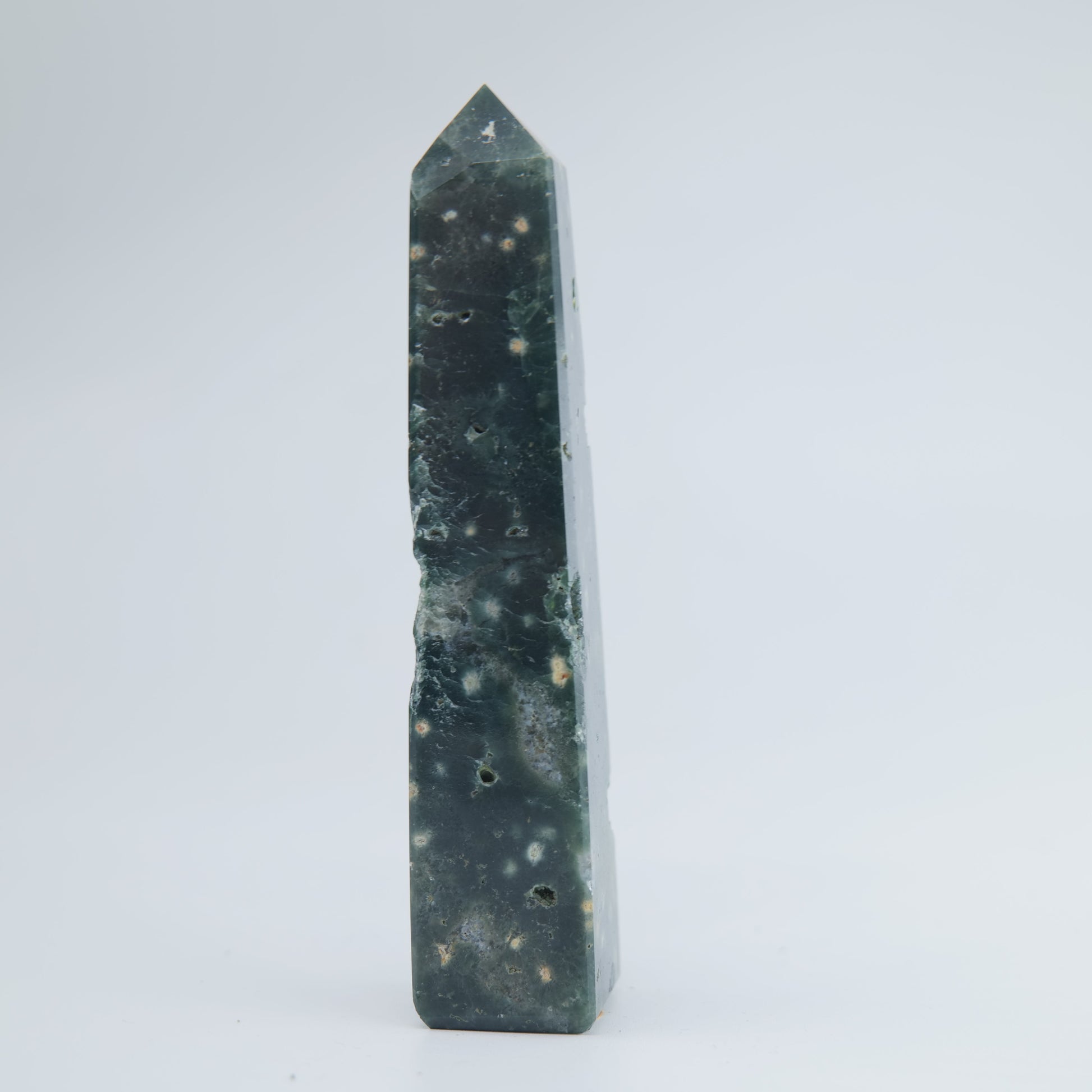 Ocean Jasper Tower 73g - Luna Panther