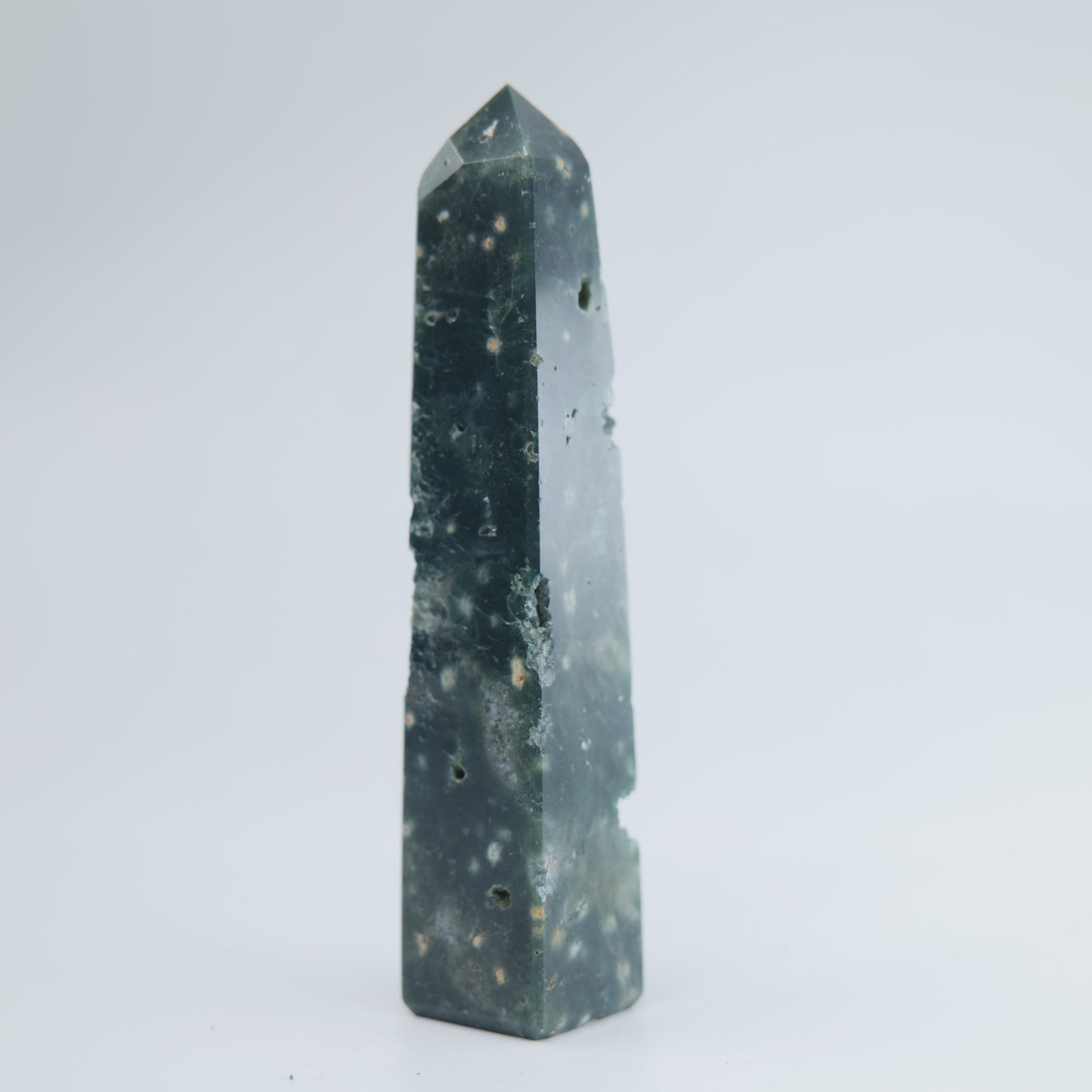 Ocean Jasper Tower 73g - Luna Panther