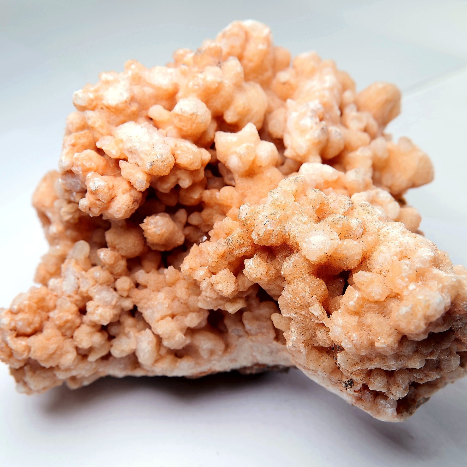 Orange Aragonite Cave Calcite Cluster on Matrix - 1200g - Luna Panther