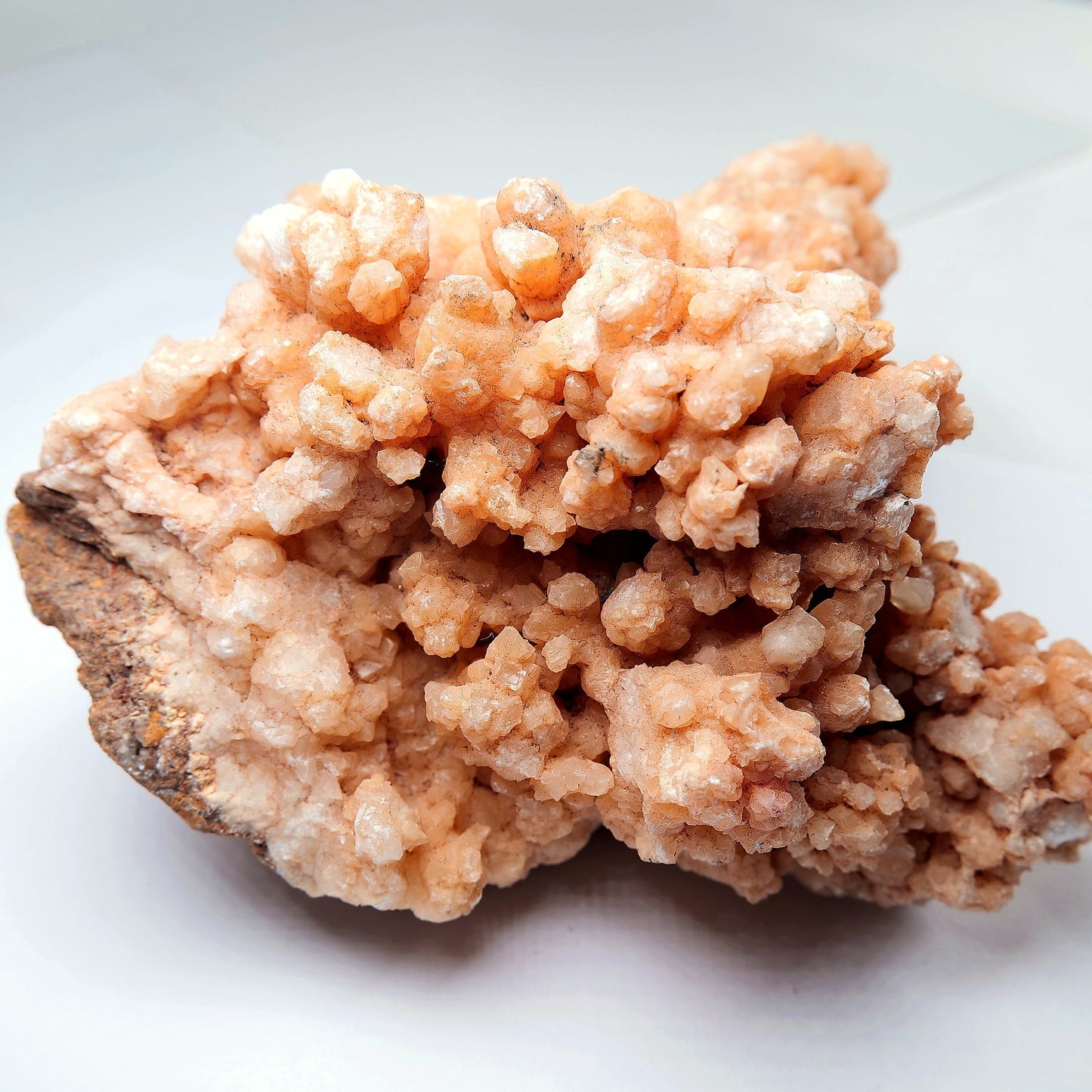 Orange Aragonite Cave Calcite Cluster on Matrix - 1200g - Luna Panther