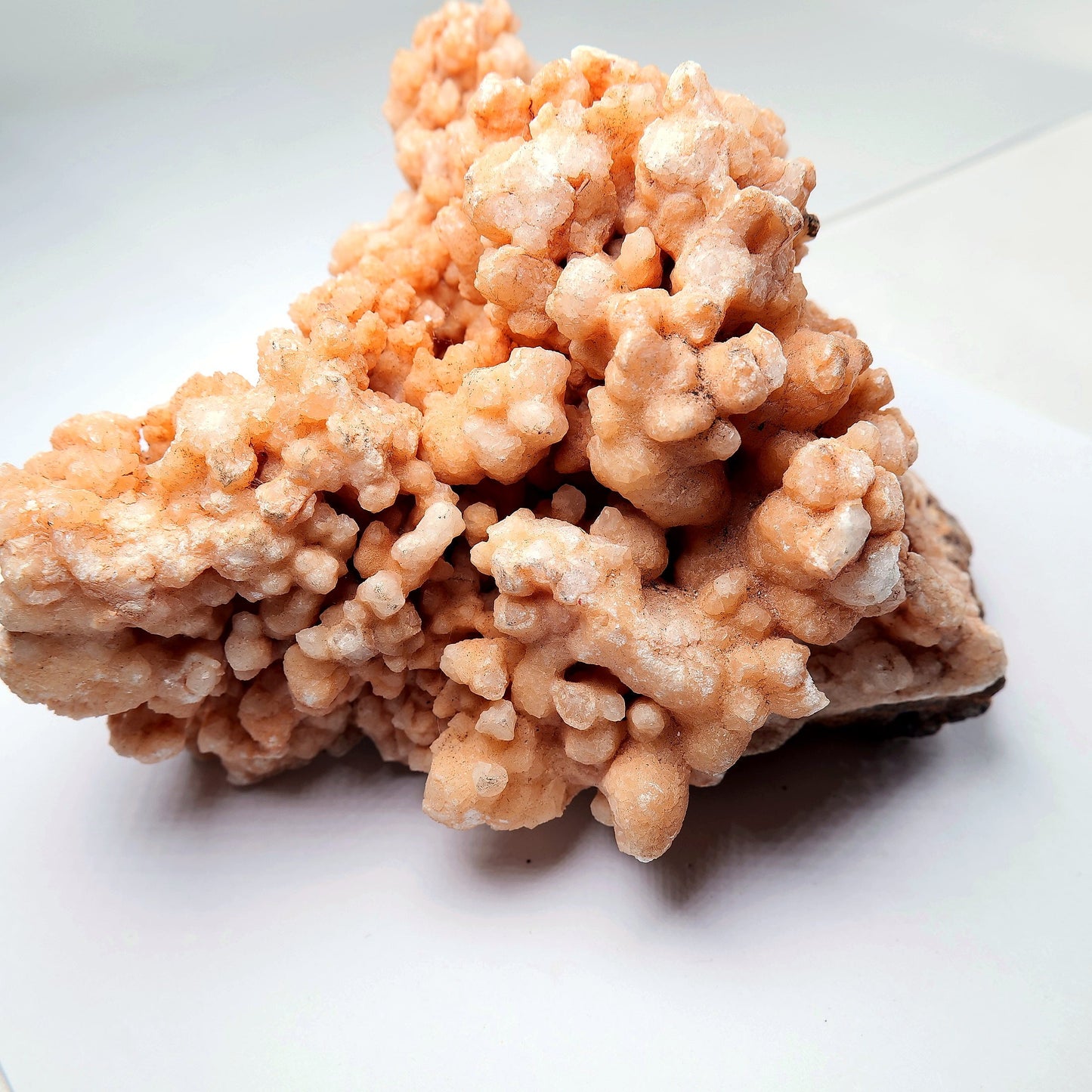 Orange Aragonite Cave Calcite Cluster on Matrix - 1200g - Luna Panther