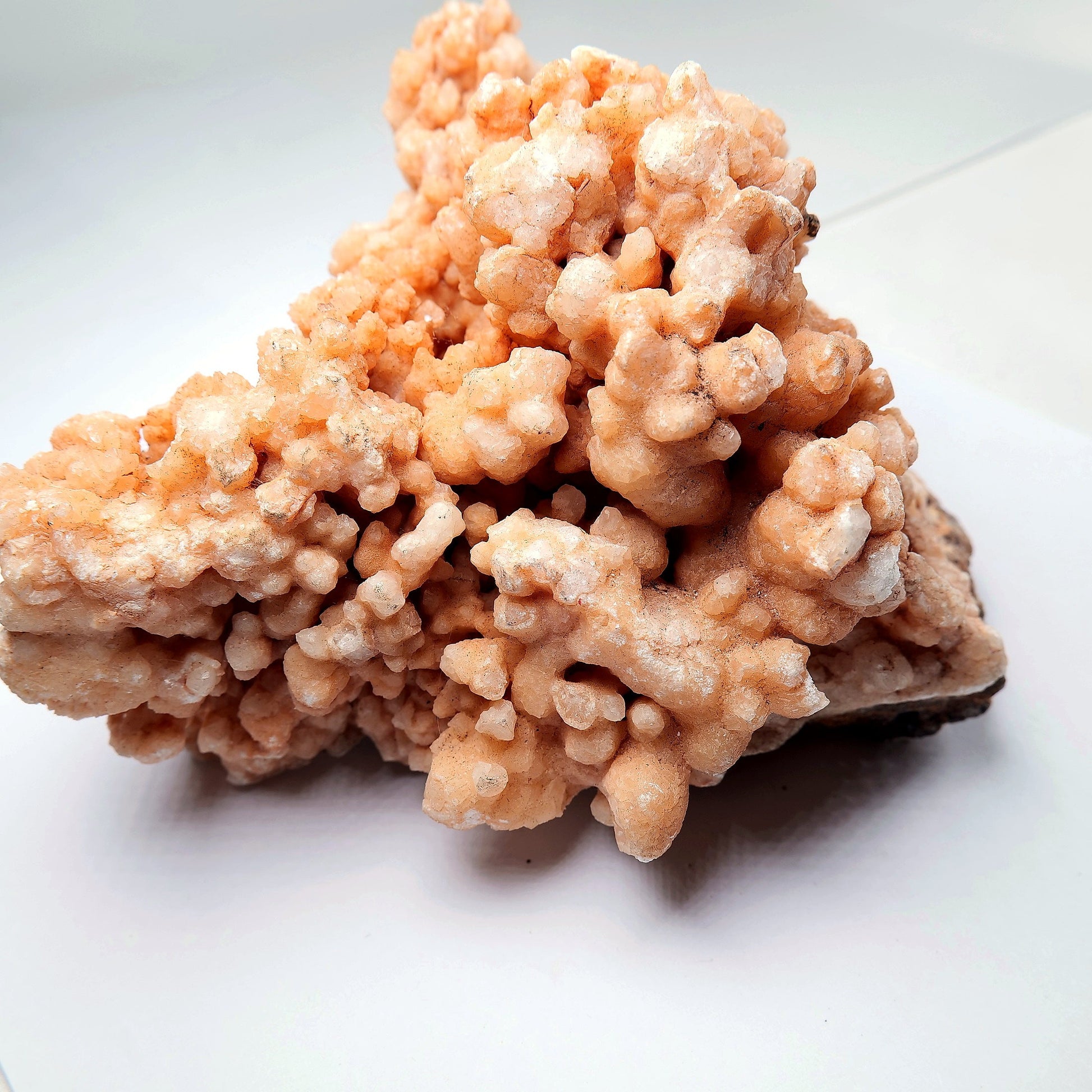 Orange Aragonite Cave Calcite Cluster on Matrix - 1200g - Luna Panther
