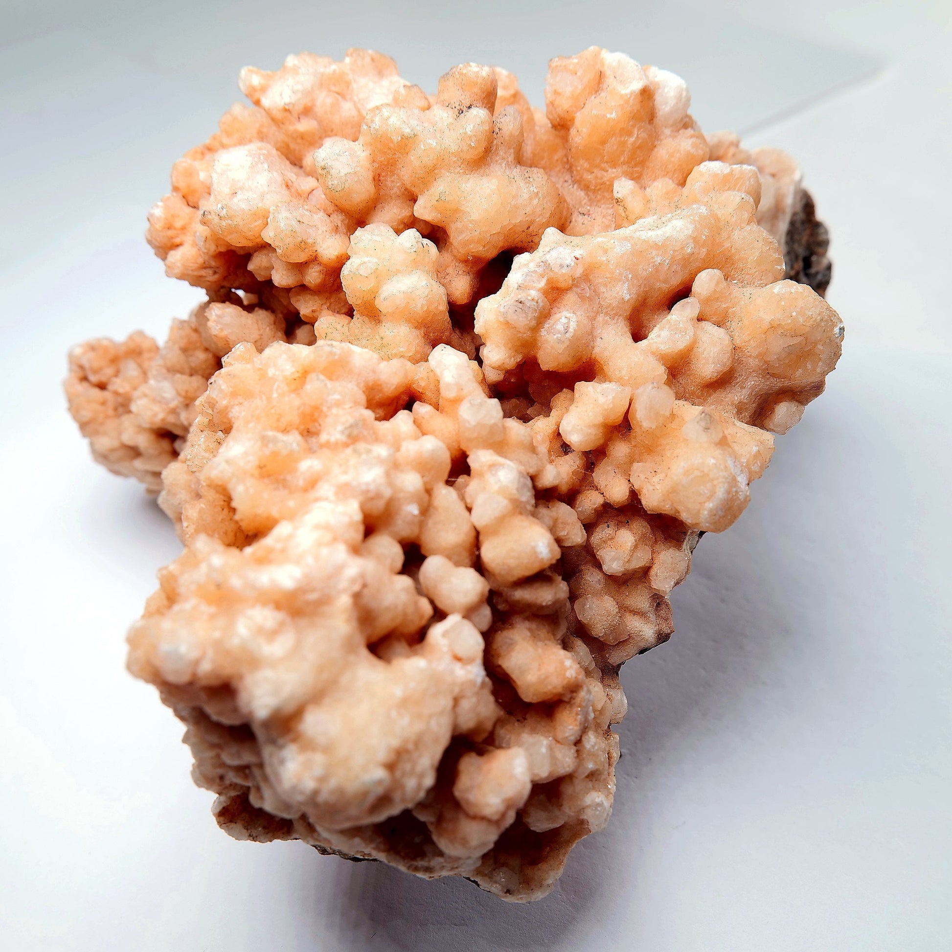 Orange Aragonite Cave Calcite Cluster on Matrix - 1200g - Luna Panther